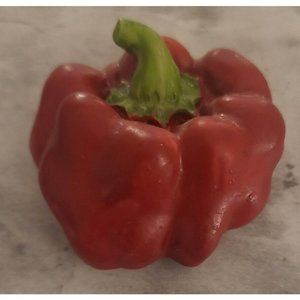 Vintage Red Pepper Wood Refrigerator Magnet